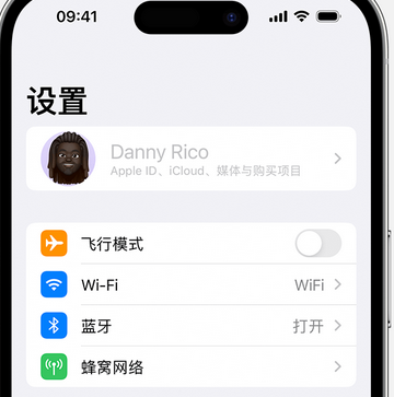 杭锦appleID维修服务iPhone设置中Apple ID显示为灰色无法使用 