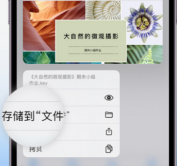 杭锦apple维修中心分享iPhone文件应用中存储和找到下载文件