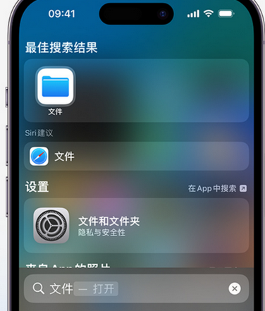 杭锦apple维修中心分享iPhone文件应用中存储和找到下载文件