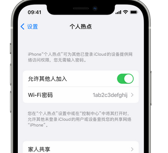 杭锦apple服务站点分享iPhone上个人热点丢失了怎么办 