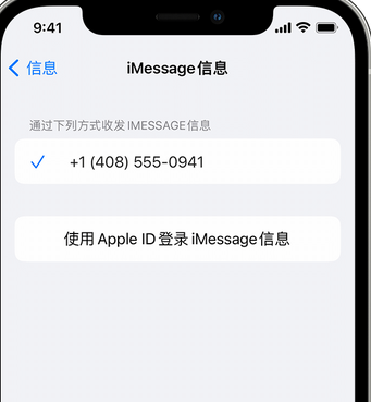 杭锦apple维修iPhone上无法正常发送iMessage信息 