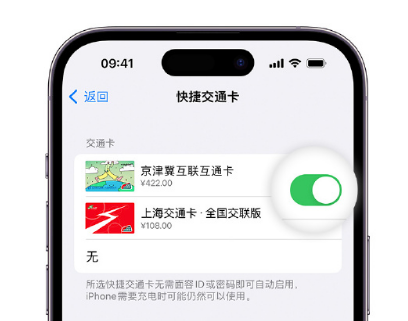 杭锦apple维修点分享iPhone上更换Apple Pay快捷交通卡手绘卡面 