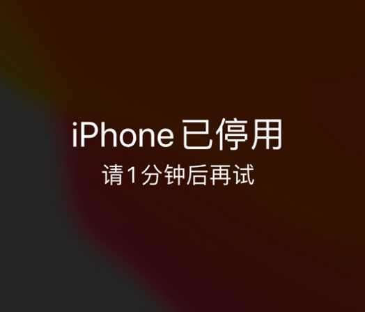 杭锦苹果手机维修分享:iPhone 显示“不可用”或“已停用”怎么办？还能保留数据吗？ 