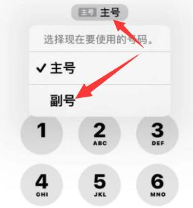 杭锦苹果14维修店分享iPhone 14 Pro Max使用副卡打电话的方法 