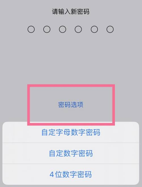 杭锦苹果14维修分享iPhone 14plus设置密码的方法 