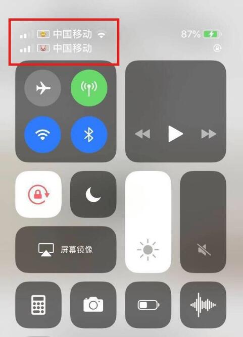 杭锦苹果手机维修分享为 iPhone 12 双卡设置标签 