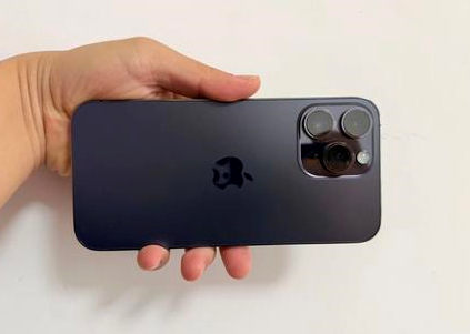 杭锦苹果维修点分享iPhone 14 Pro Max黑屏少见故障盘点 